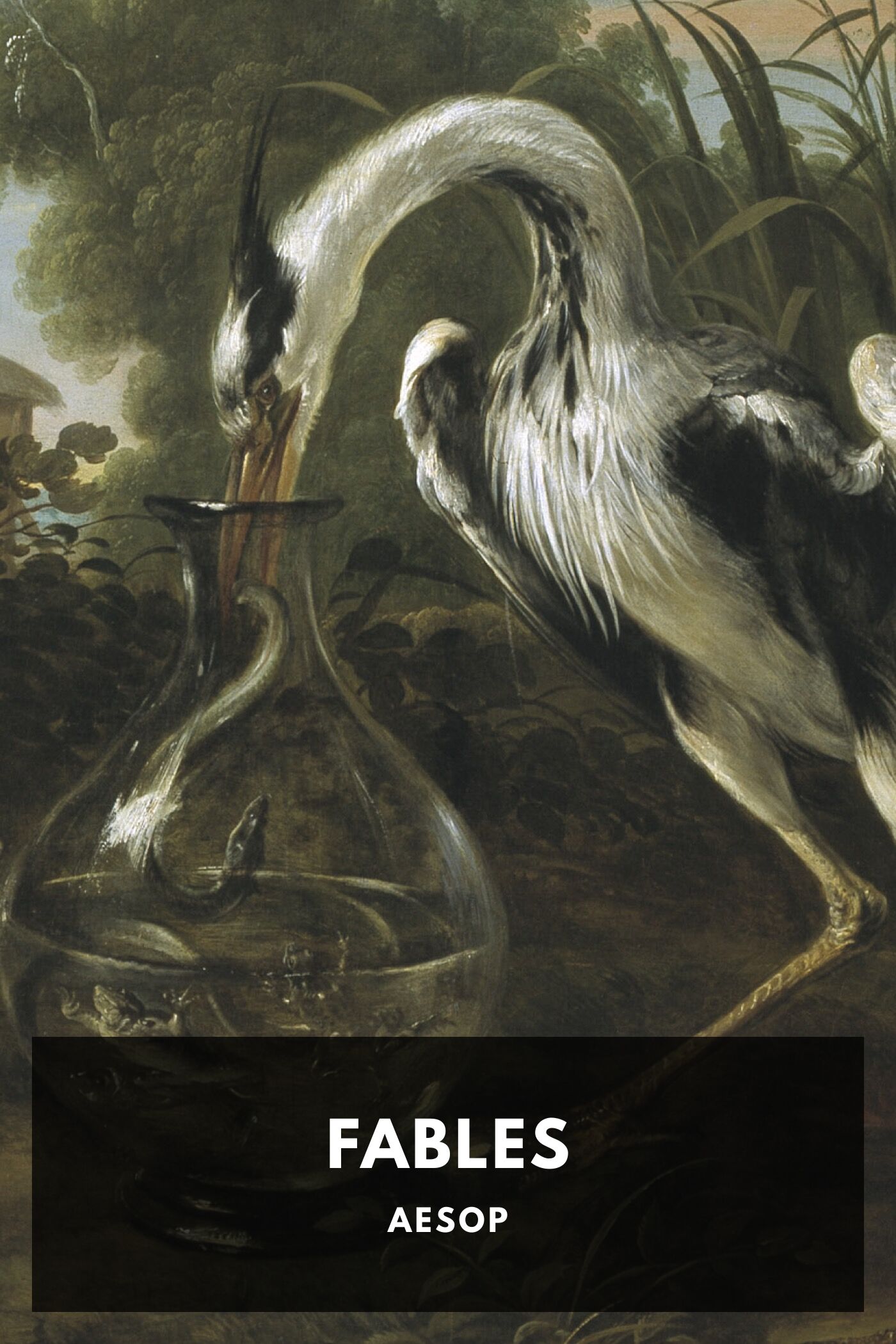 Aesop's Fables